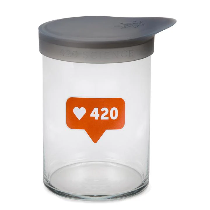 Large Wide Mouth Jar With Silicone Lid - Image 14