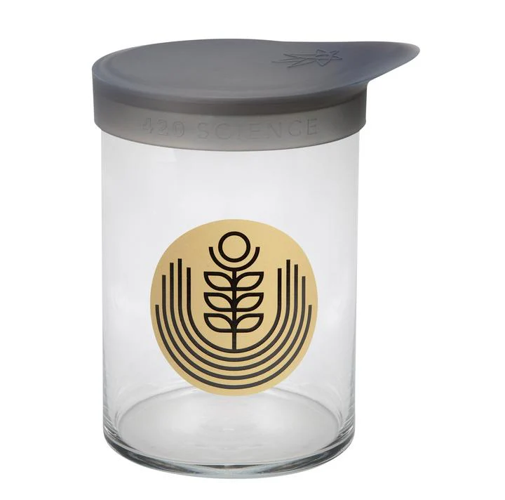 Large Wide Mouth Jar With Silicone Lid - Image 5