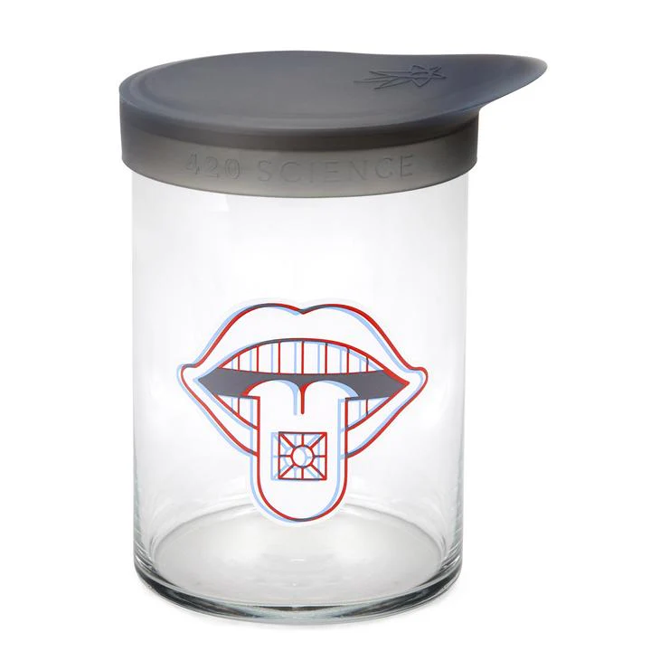 Large Wide Mouth Jar With Silicone Lid - Image 8