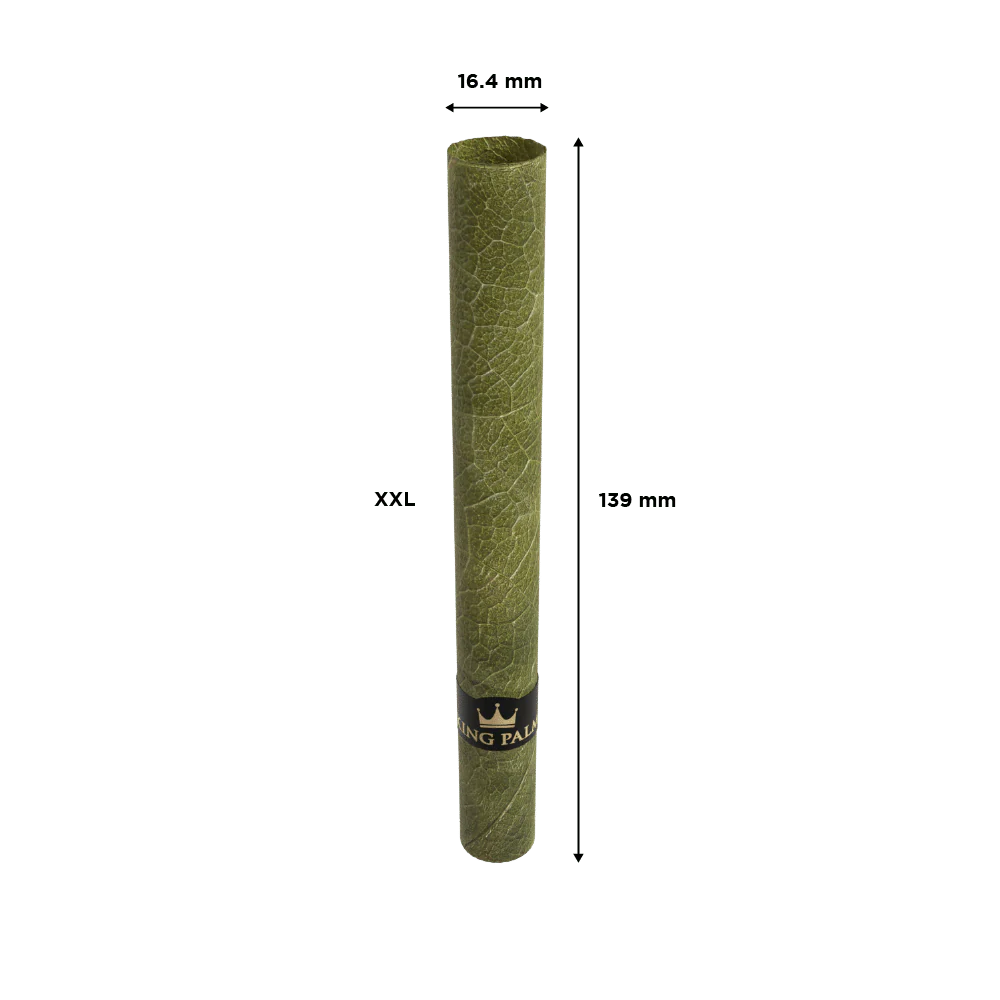 King Palm XXL Roll - Image 2