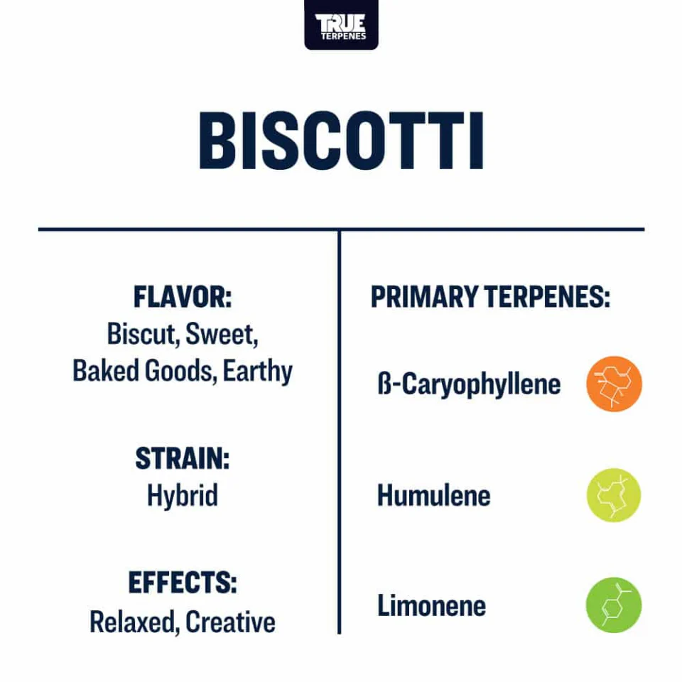 True Terpenes- Biscotti Strain Profile - Image 3
