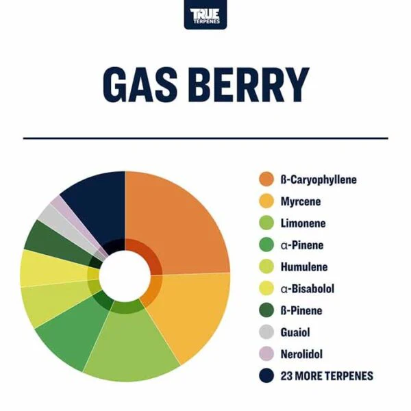 True Terpenes- Gas Berry - Live Alchemy 5ml - Image 2