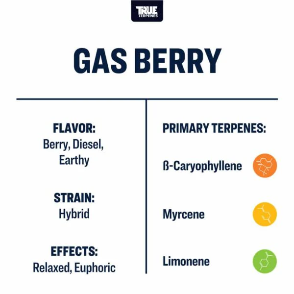 True Terpenes- Gas Berry - Live Alchemy 5ml - Image 3