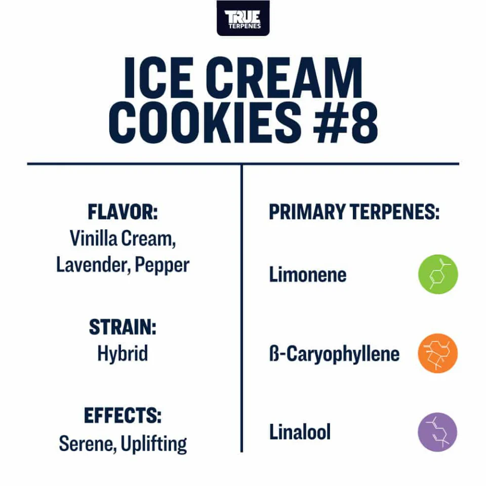True Terpenes- Ice Cream Cookies #8 Strain Profile - Image 3