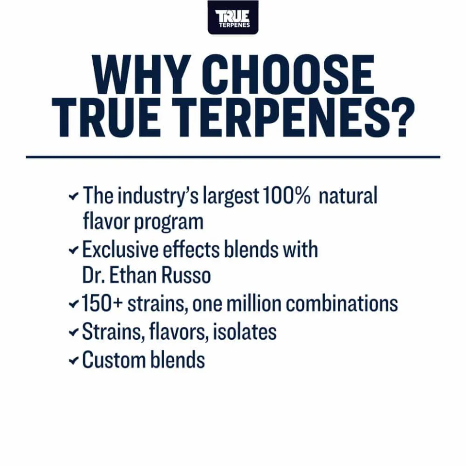 True Terpenes- Ice Cream Cookies #8 Strain Profile - Image 7