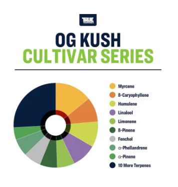 True Terpenes- OG Kush - Image 2