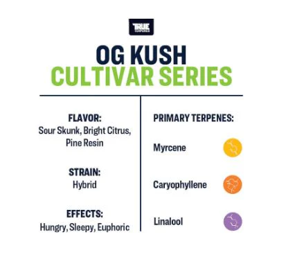 True Terpenes- OG Kush - Image 3