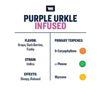 True Terpenes- Purple Urkle Strain Profile - Image 2
