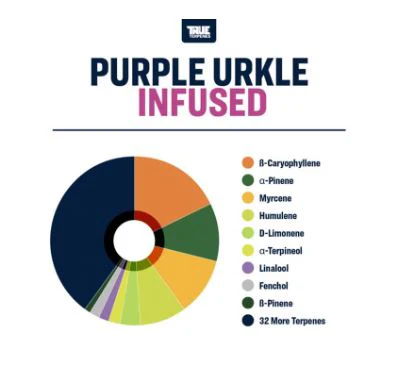 True Terpenes- Purple Urkle Strain Profile - Image 3