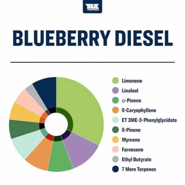 True Terpenes- Blueberry Diesel - Live Alchemy 5ml - Image 2